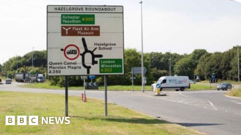 Somerset A303 upgrade in danger over 'birdstrike' fears - BBC News