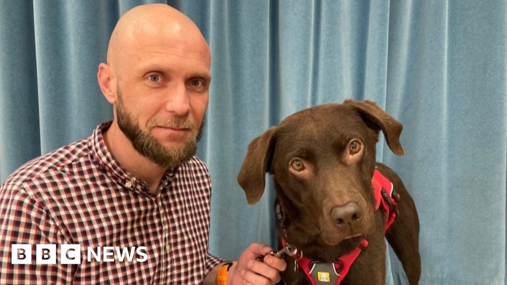 Service dog changes life for Somerset veteran with PTSD