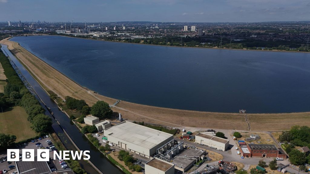 Arrest after e-biker dies in horse and cart crash