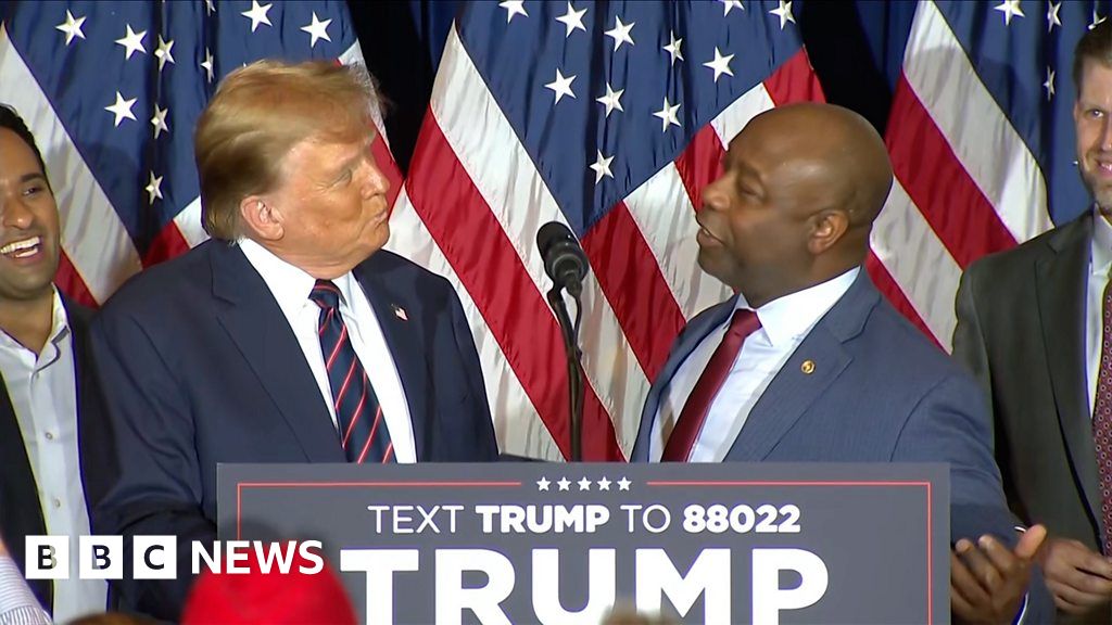 Trump rivals line up to back him after New Hampshire win - BBC News