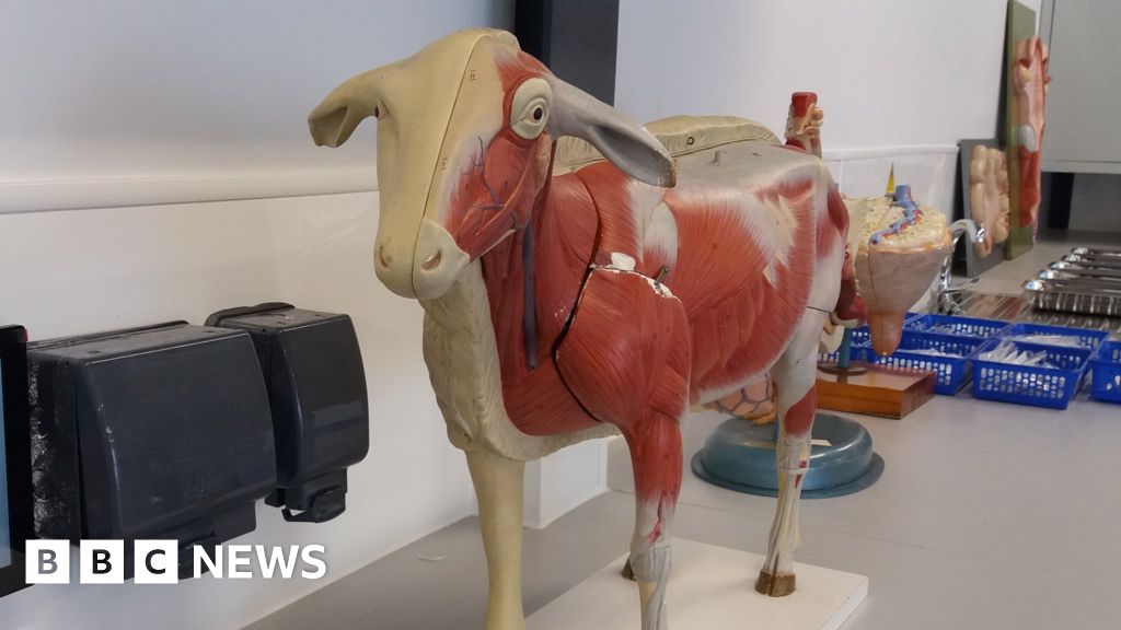 Aberystwyth University Wales' first vet school opens BBC News