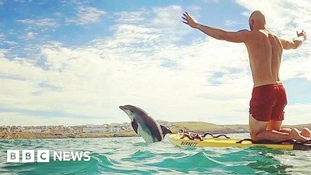 Playful dolphin joins evening swimmers in Newquay