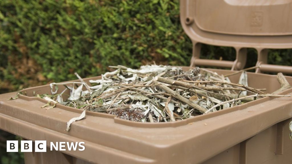 Garden waste collection charge in Conwy backed BBC News