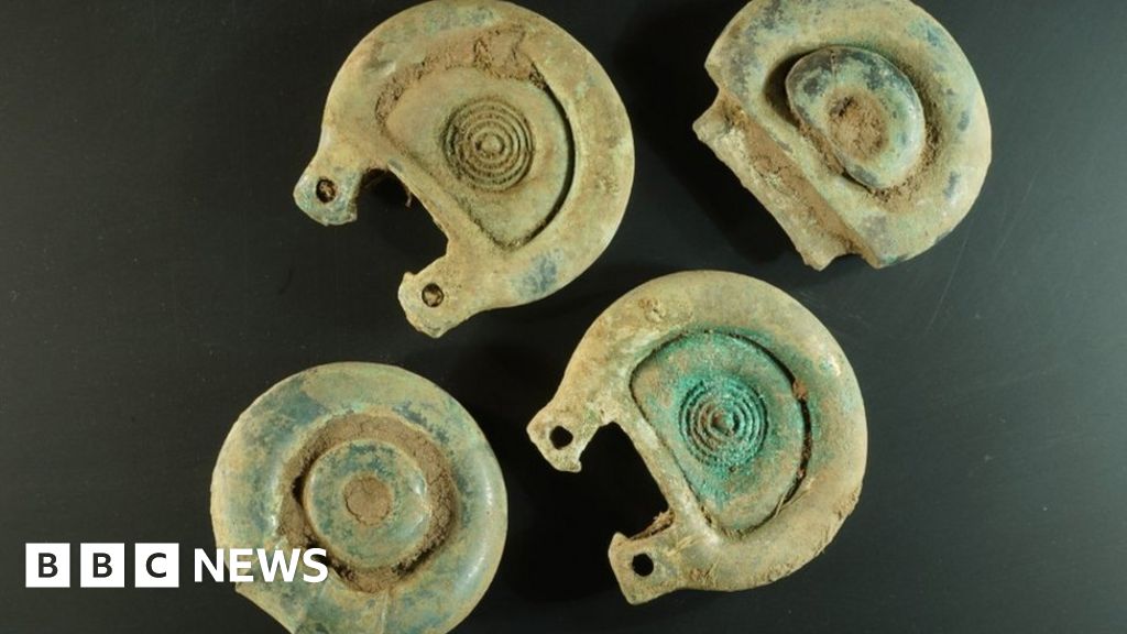 Detectorist 'shaking with happiness' after Bronze Age find