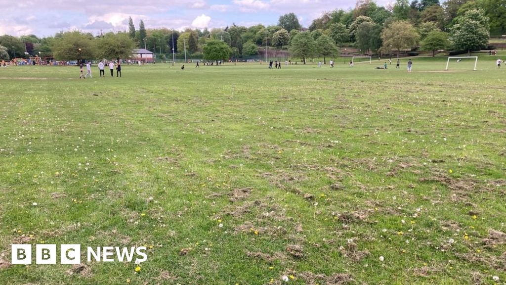 Boy, 13, dies after collapsing at Nottinghamshire football match