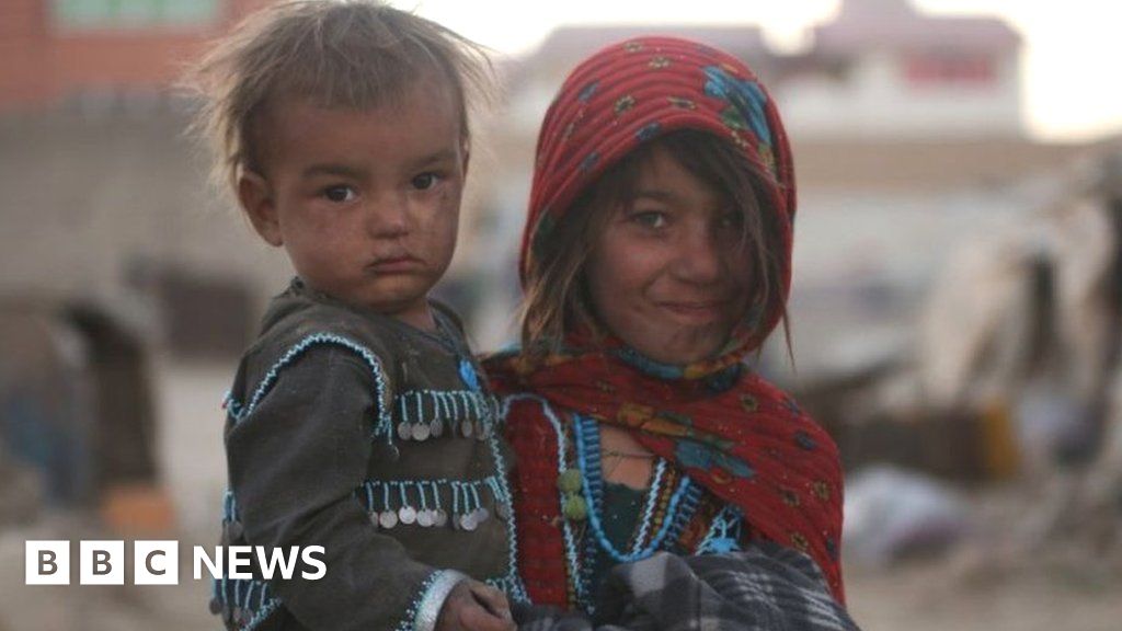 Afghanistan: What humanitarian aid is getting in?