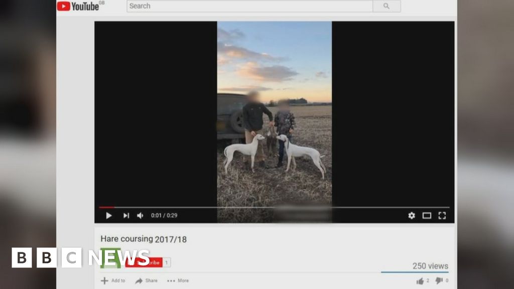 Bloodsports videos taken down from Facebook and YouTube