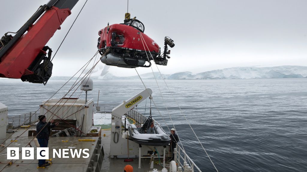 Antarctica S Weddell Sea Deserves Protected Status BBC News    99718776 Index 