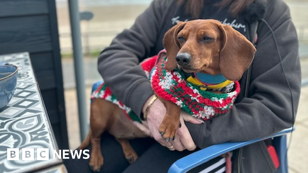 ダックスフンド置物 Running sausage christina uk ダックスフンド置物