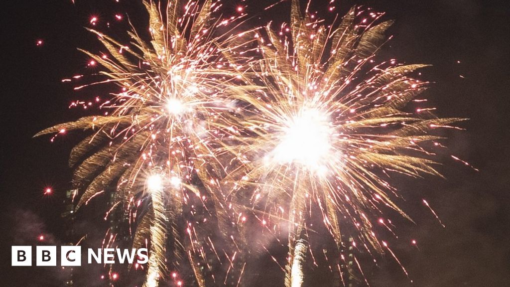 Rushcliffe fireworks could end over pet and PTSD concerns BBC News