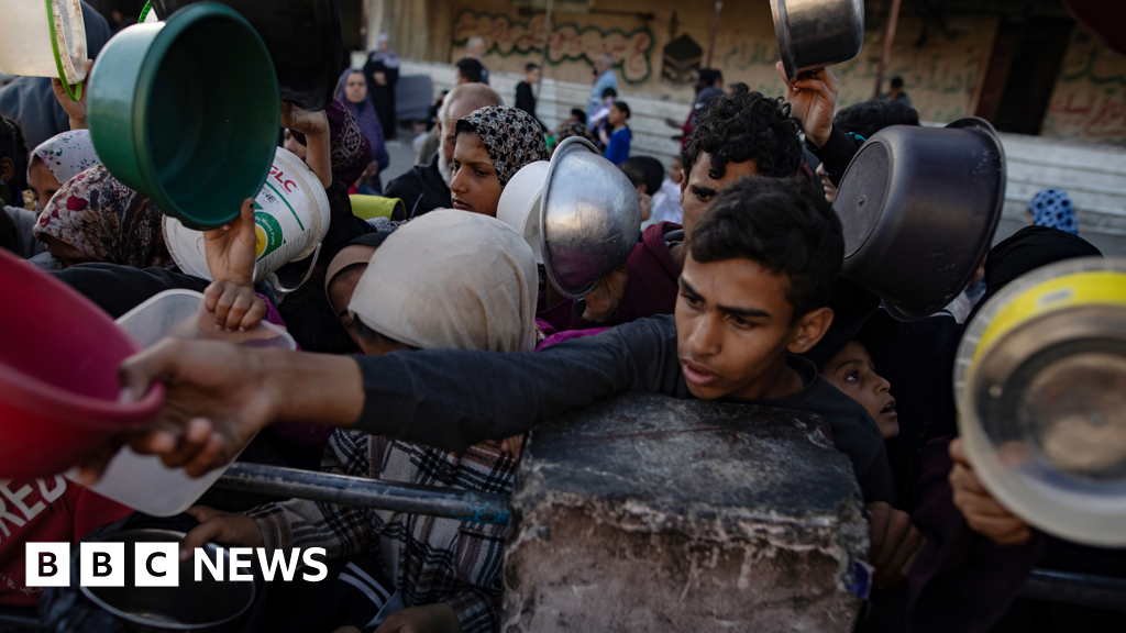 イスラエルのガザ戦争：欧州連合は飢餓が兵器として利用されていると主張