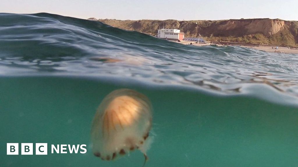 The Sheringham Snorkel Trail
