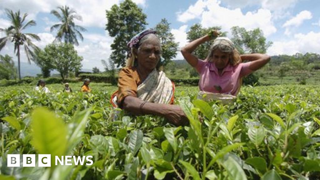 Sri Lanka Profile Timeline Bbc News