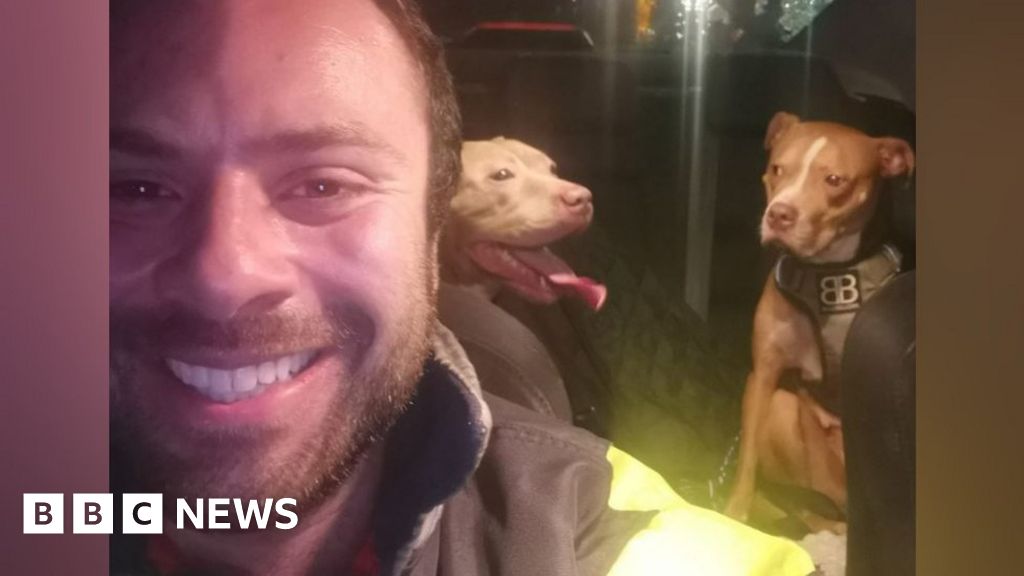 Sammy Wilkinson with two bully XL dogs