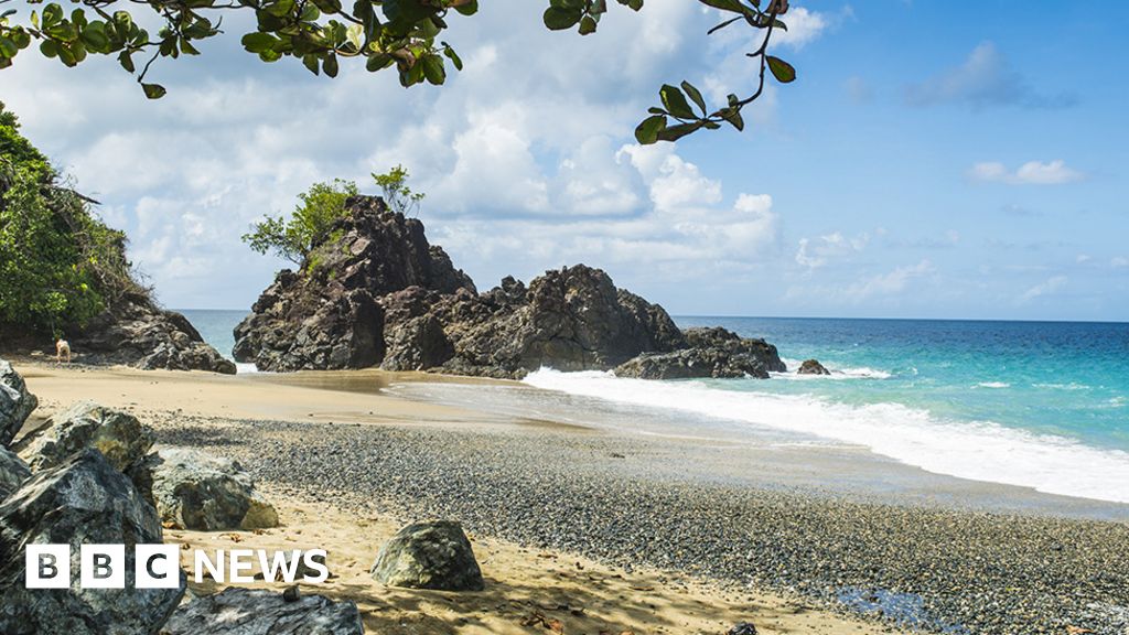 Tobago shark attack: Peter Smith now 'able to communicate' - BBC News