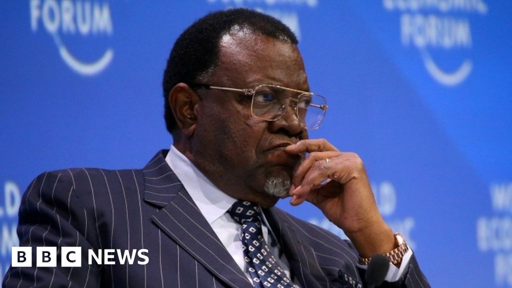 Namibia's President Hage Geingob Wins Re-election - BBC News