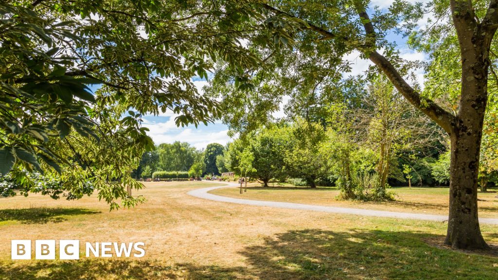 Cardiff Police Charge Man 19 After Bute Park Sex Attack Bbc News