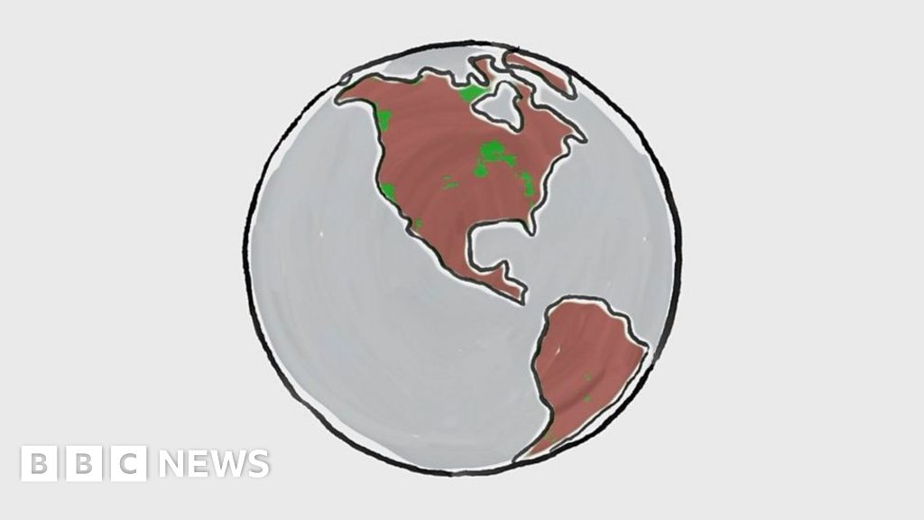 Coronavirus The Environment S Big Moment