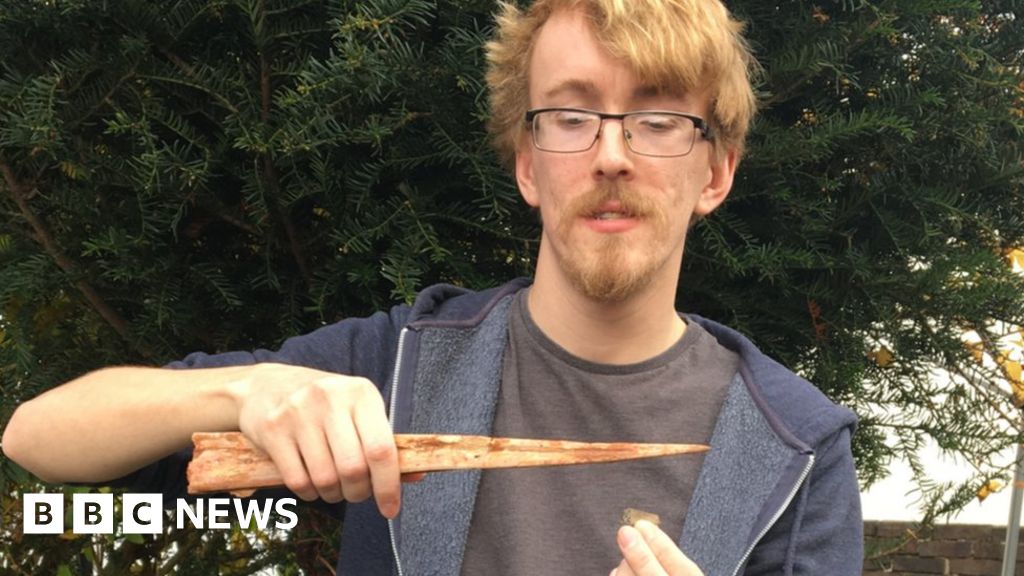Student finds mystery pterosaur in Cambridgeshire fossils