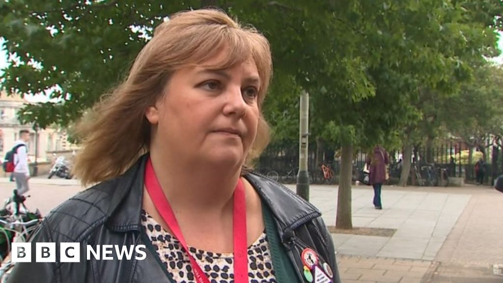 Norwich political canvassers 'verbally abused' - BBC News