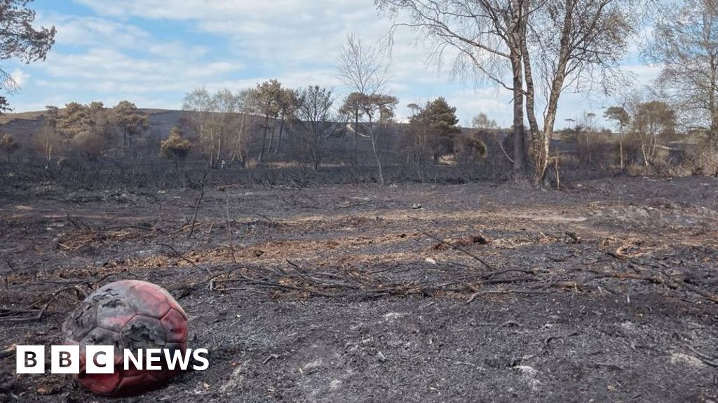 Canford Heath at risk as people avoid burnt areas BBC News