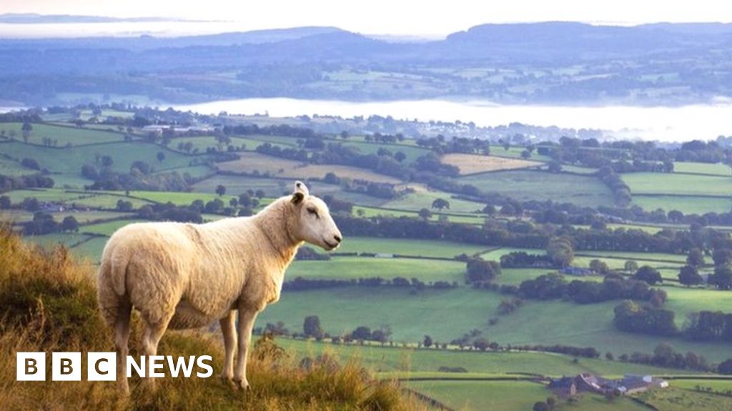 Wales farmer protests 'more or less inevitable'