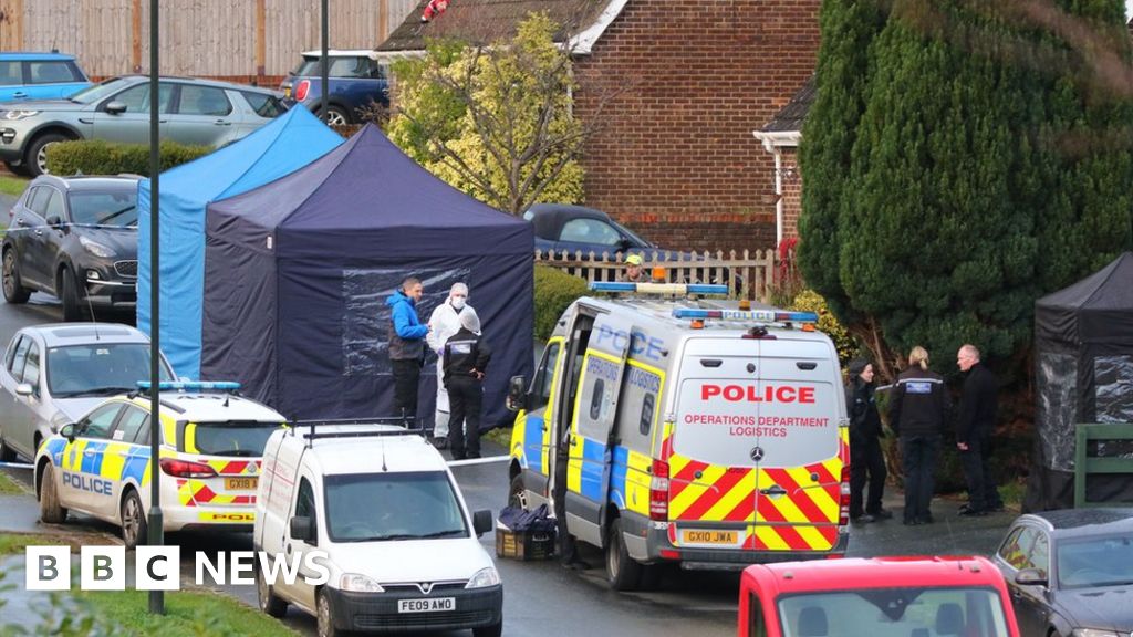 Crawley Down: Double murder suspect in 'unstable' condition