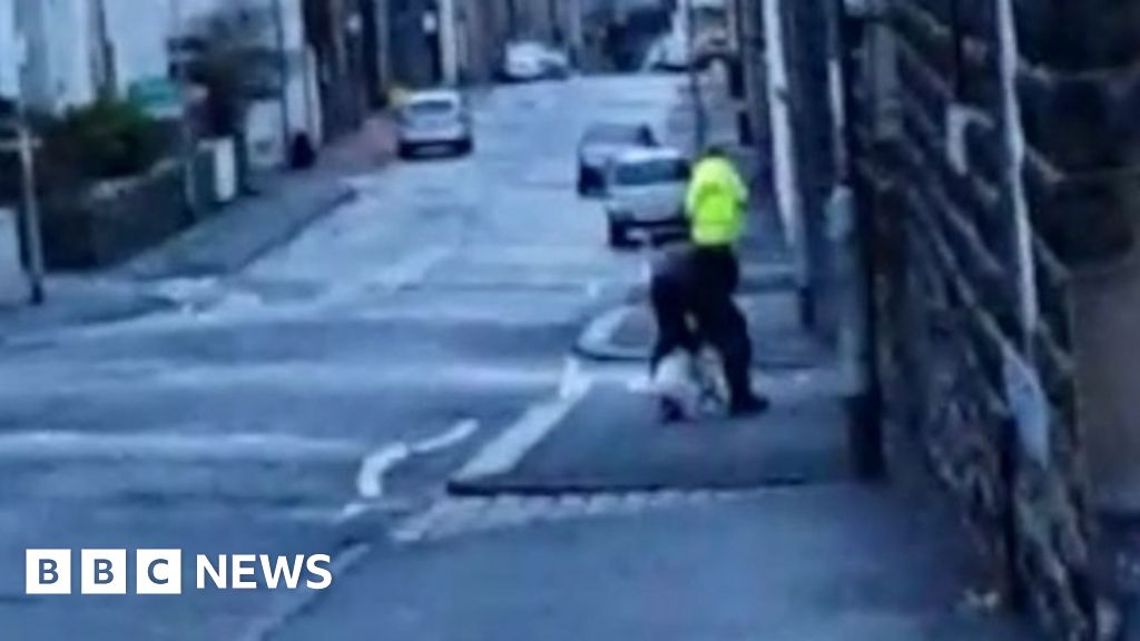 Dogpunching man in Nelson sought by RSPCA BBC News