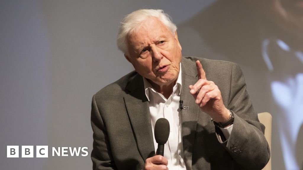Sir David Attenborough says fixed-term parliaments lead to lack of climate focus - BBC News