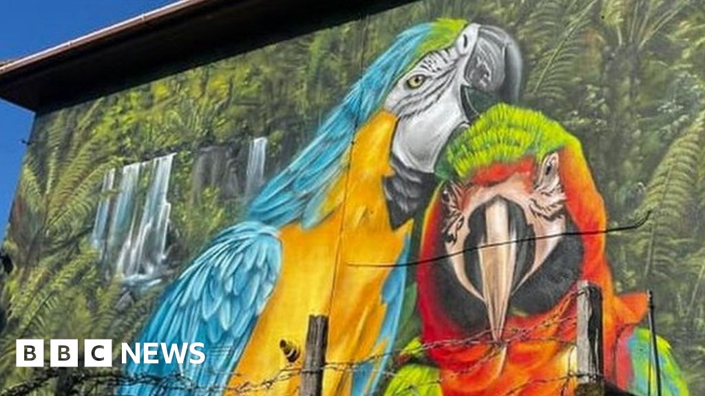 parrot mural