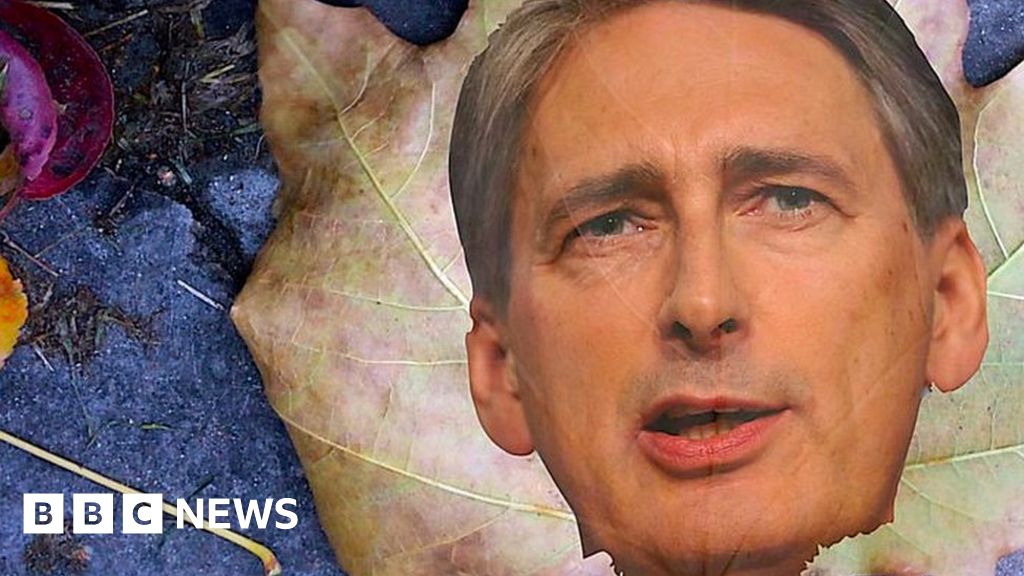 autumn-statement-2016-will-hammond-turn-a-new-leaf-bbc-news