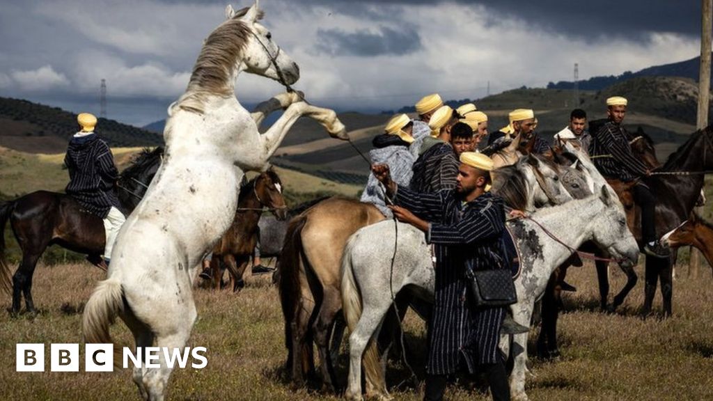 White horses and sunset swims: Africa's top shots