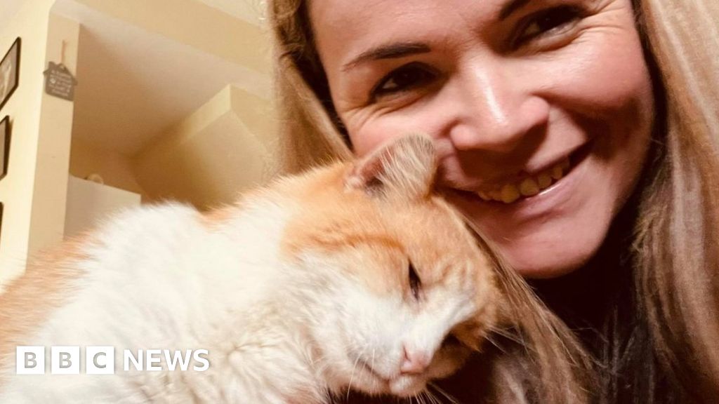 Missing Jersey cat returns home after 12 years - BBC News