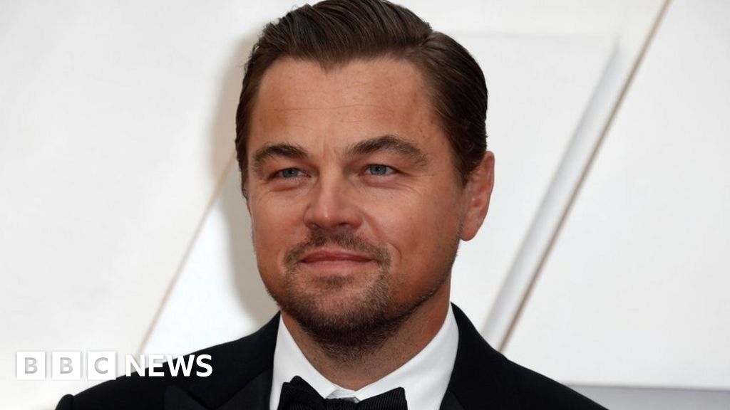 Leonardo DiCaprio lauds birth of bison calf in Canterbury