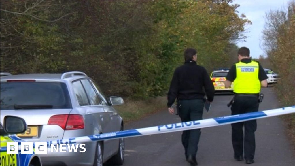 Wallsend park attack: Man admits kidnap and attempted rape - BBC
