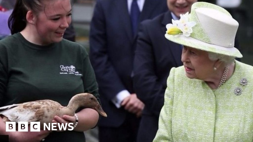 Gorgie City Farm: Council 'trying to secure a future'