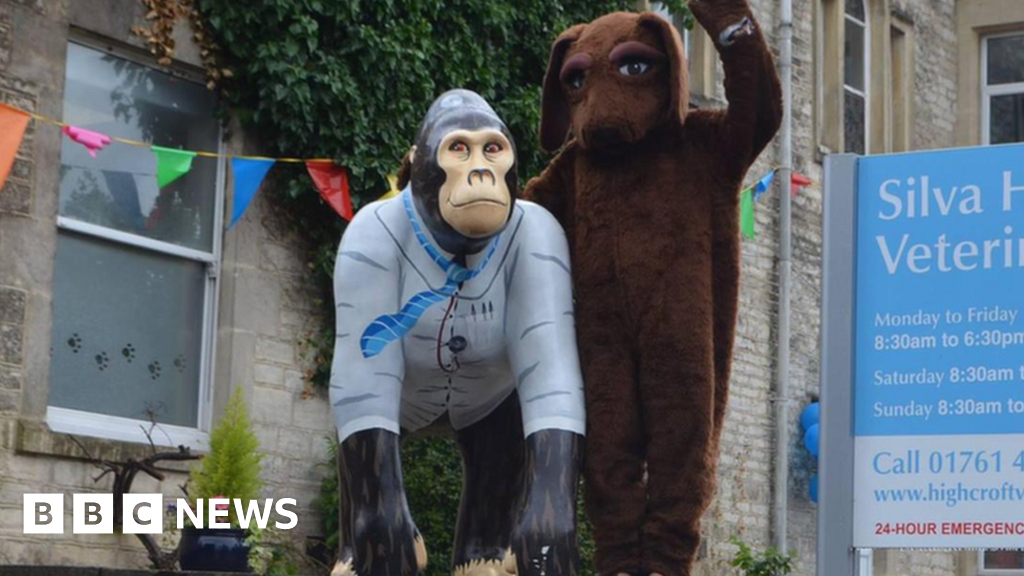 Charlie the gorilla statue stolen from vets in Midsomer Norton