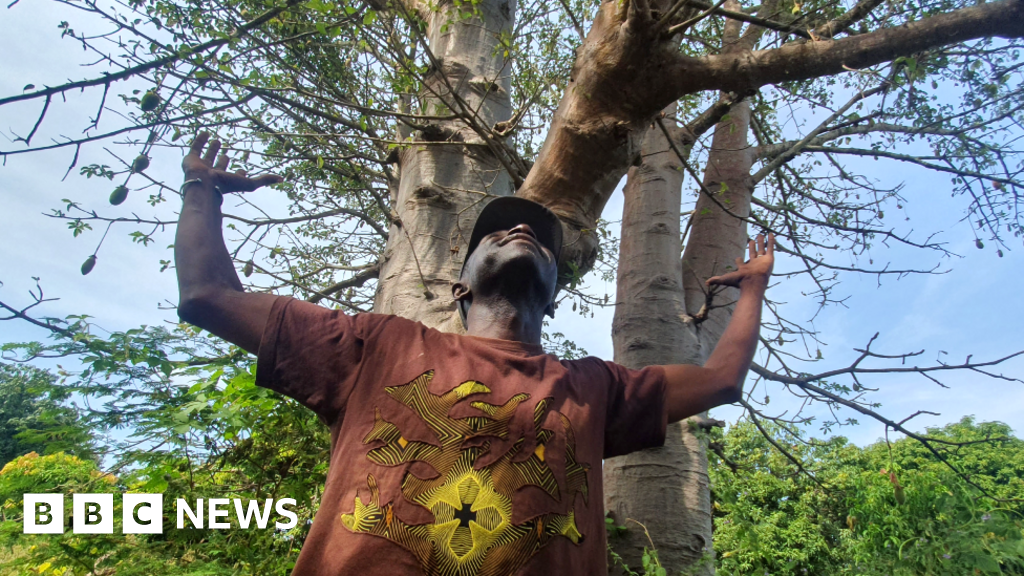 The Senegal man on a mission to plant five million trees