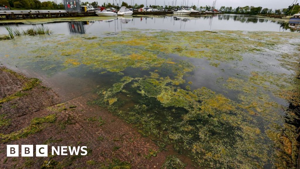ネイ湖：湖底の所有者が環境大臣と会談