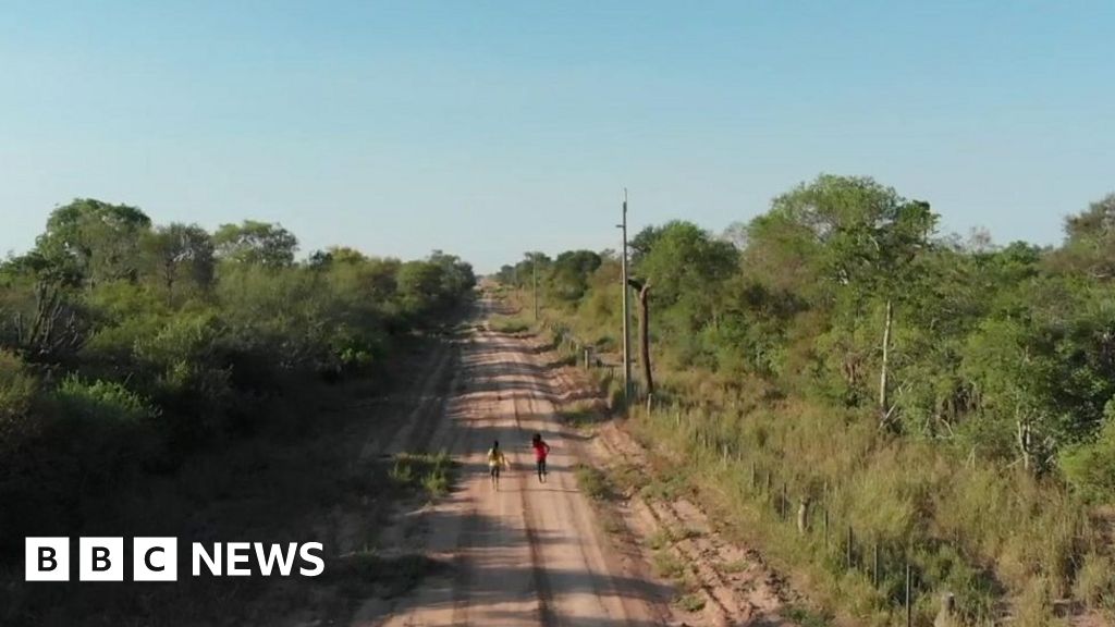 Chaco forest home of an ancient indigenous tribe is destroyed at dramatic rates