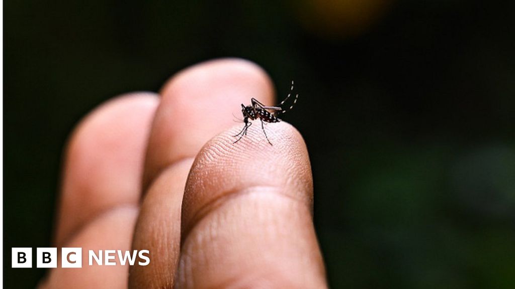 Chikungunya Vaccine Us Approves First Shot Against Mosquito Borne Virus