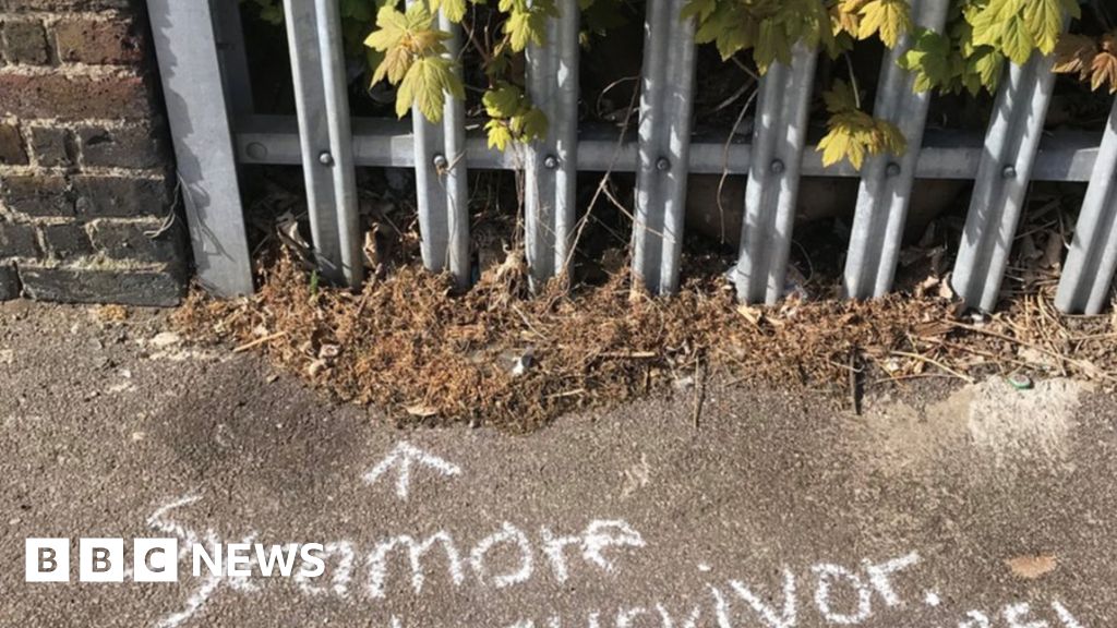 Lockdown: The teacher, the use of sidewalks as sheets