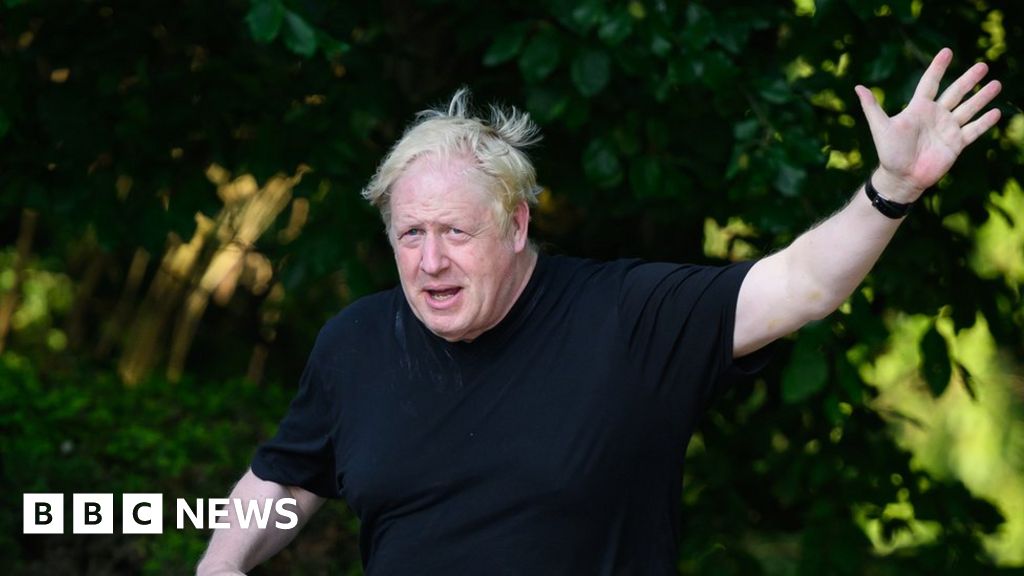 Johnson allies to be criticised over Partygate probe