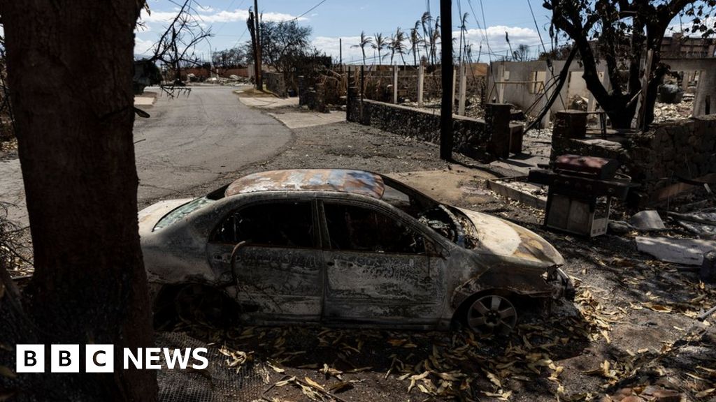 Първите жертви от смъртоносните горски пожари обхванали остров Мауи миналата