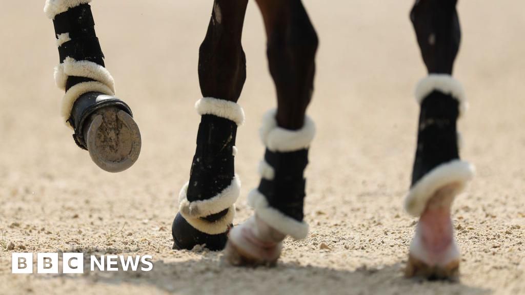 Horse rider, 37, dies following fall during event