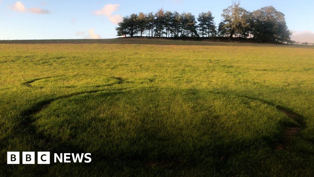 Giant fairy rings appear in Norfolk landscape BBC News