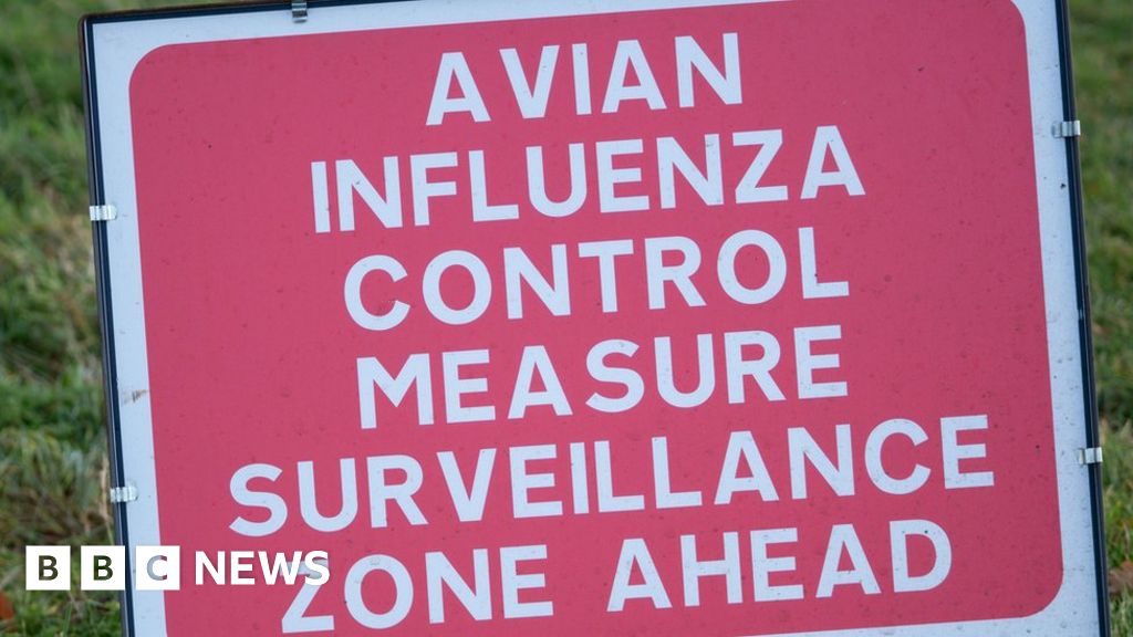 Bird flu outbreak confirmed at Upholland site