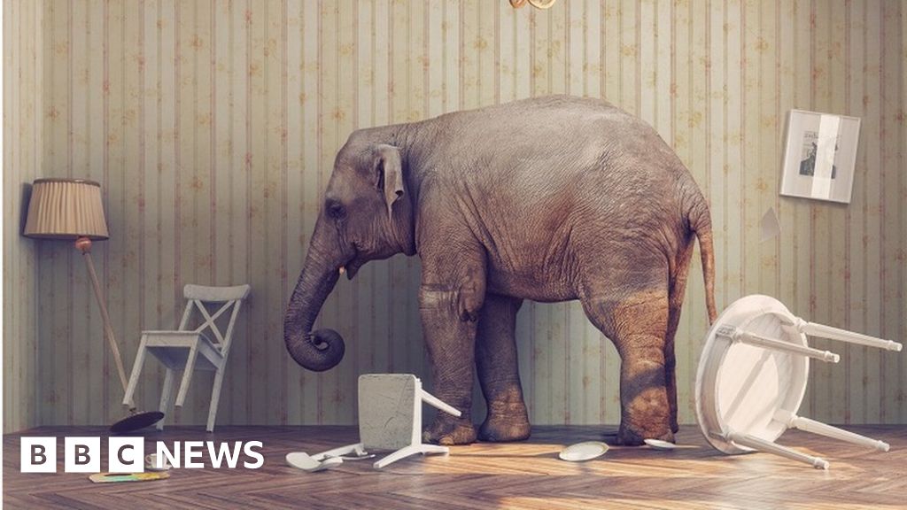 Are Google, Amazon and others getting too big? - BBC News