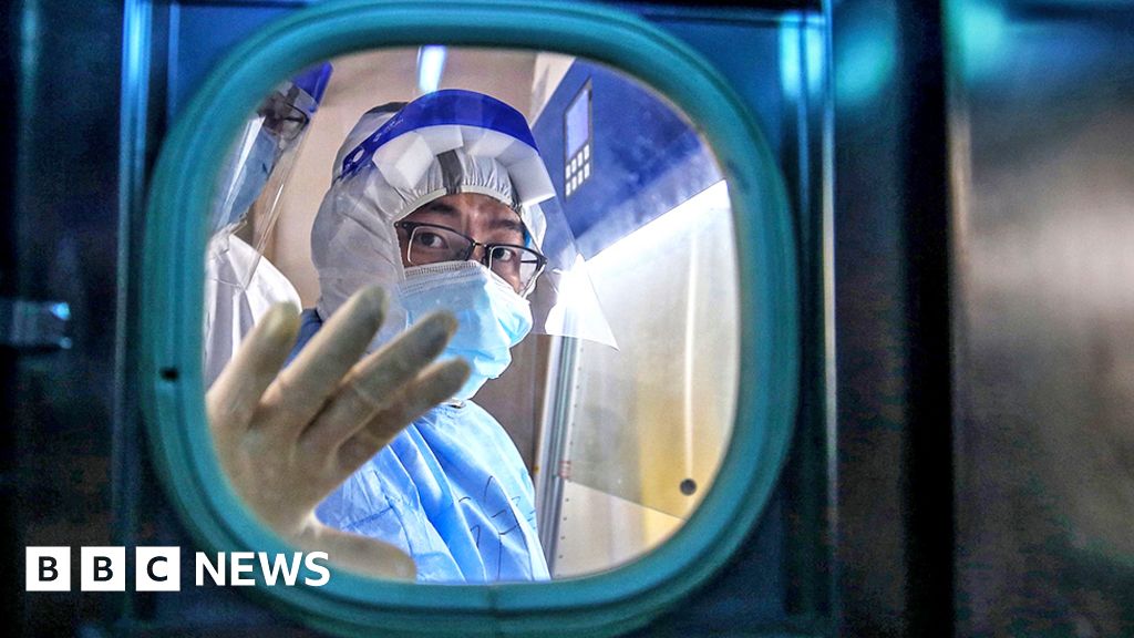 The possibility the Covid virus leaked from a laboratory should not be ruled out, a former top Chinese government scientist has told BBC News. As head