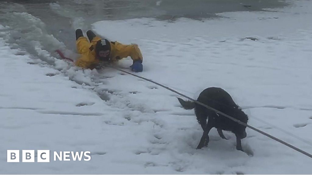 Utah: Firefighter jumps into icy lake to rescue dog